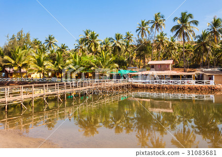 Mandrem beach Goa India 31083681