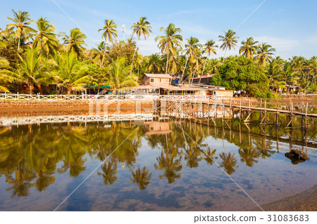 Mandrem beach Goa India 31083683