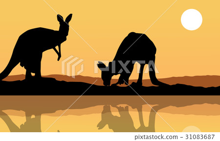 Kangaroo on the lake landscape silhouette Kangaroo on the lake landscape silhouette 31083687