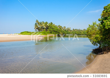 Beach in Goa, India 31083691