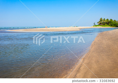 Beach in Goa, India 31083692