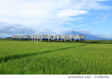 Gynta line going through the country Gynta line going through the country 31084502