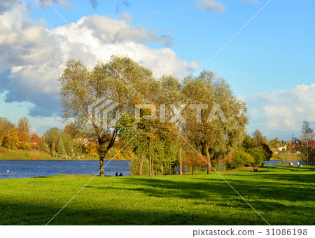 Park and Neva River at evening. Park and Neva River at evening. 31086198