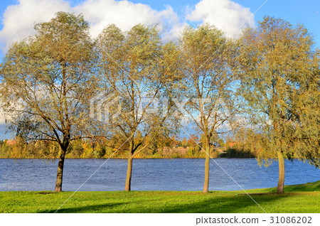 Park and Neva River at evening. 31086202