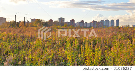 The field and the outskirts of city at evening. 31086227