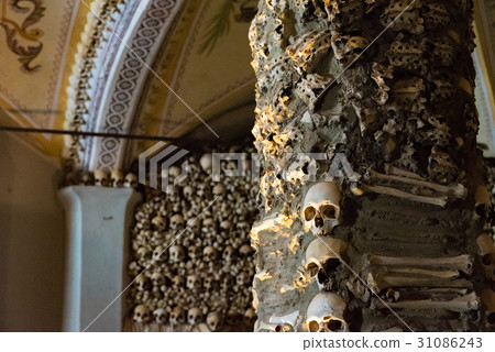 San Francisco Church Personnel Portugal Evora 31086243