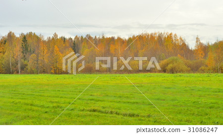 Park at autumn. 31086247