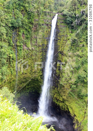 Aqua Falls, Island of Hawaii 31086798