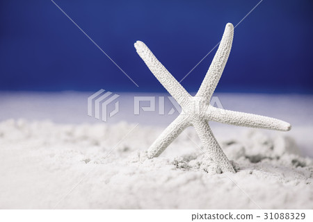 Summer sale, discount and promotion concept 31088329