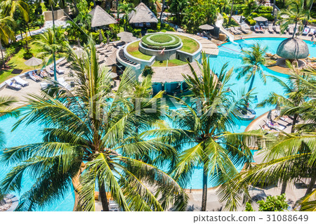 Coconut palm tree around swimming pool Coconut palm tree around swimming pool 31088649