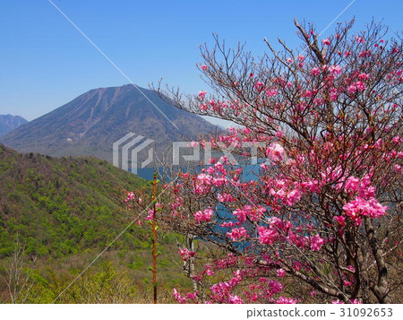 Mt. Mt. and Akashiyoshio 31092653