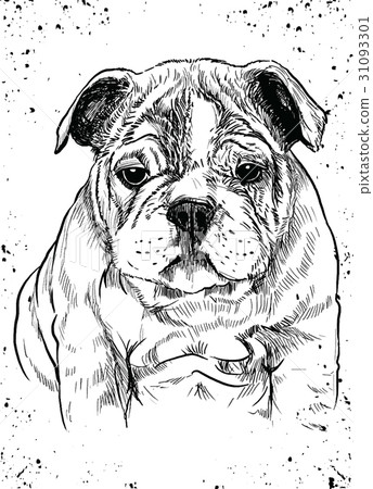 Vector illustration of a hand drawn cute dog - Stock Illustration ...