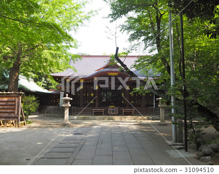 Shibuya Hikawa Shrine 31094510