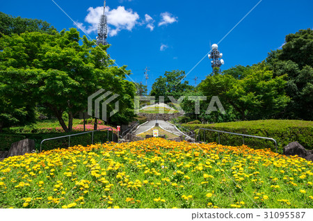 梅島公園德島德島市 31095587