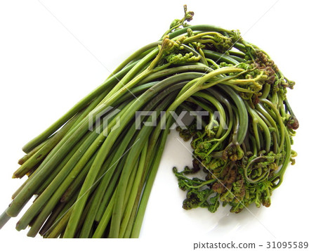 被嚇壞了之後 31095589