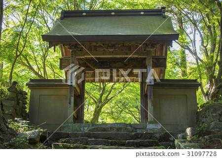 Kunisaki的Bokoji寺廟新綠 31097728