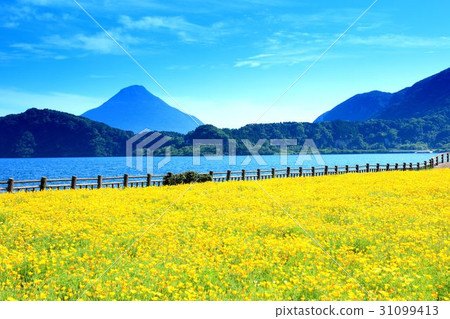 Kagoshima prefecture Ikeda lake 31099413