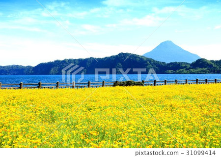 鹿兒島縣池田湖 鹿兒島縣池田湖 31099414