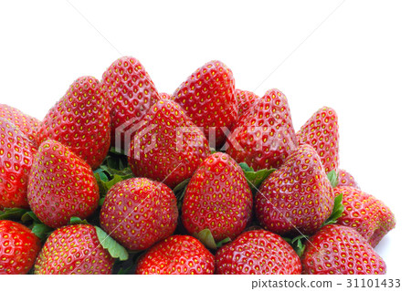 Pile strawberries isolated on a white background Pile strawberries isolated on a white background 31101433
