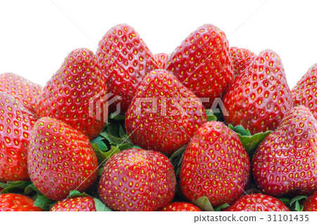 Pile strawberries isolated on a white background Pile strawberries isolated on a white background 31101435