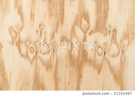 Background texture of veneer board with knots 31101497