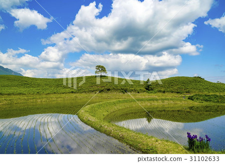 扇米飯露台 31102633