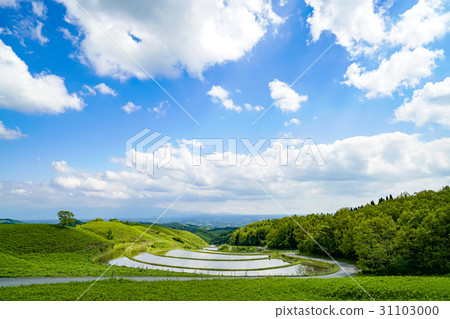 扇米飯露台 31103000