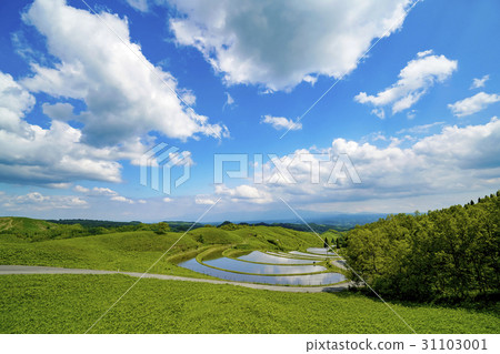 扇米飯露台 31103001