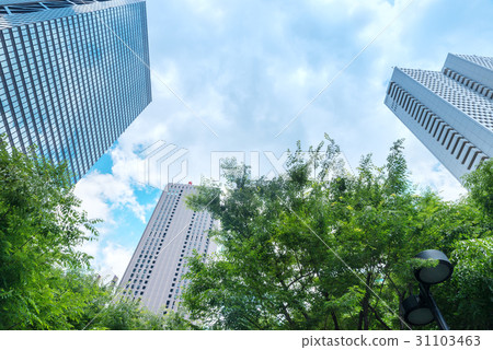 Shinjuku Tall Building Shinjuku Tall Building 31103463