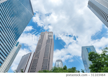 Shinjuku Tall Building Shinjuku Tall Building 31103464