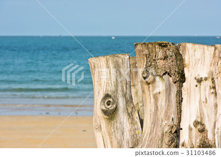 Breakwaters on seashore Saint malo, France 31103486