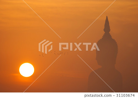 Big buddha statue at sunset 31103674