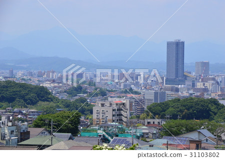東京都大沼公園的初夏就像這個八王子市 31103802
