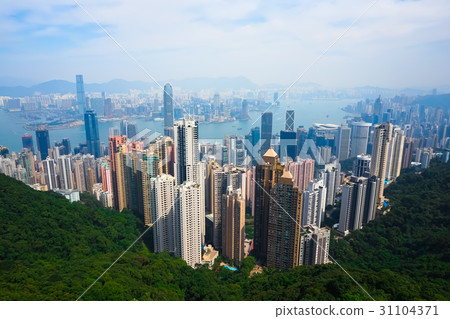香港太平山頂觀景台香港太平山頂景觀 香港太平山頂觀景台香港太平山頂景觀 31104371