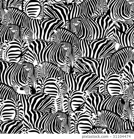 Zebra seamless pattern. Wild animal texture.  31104474