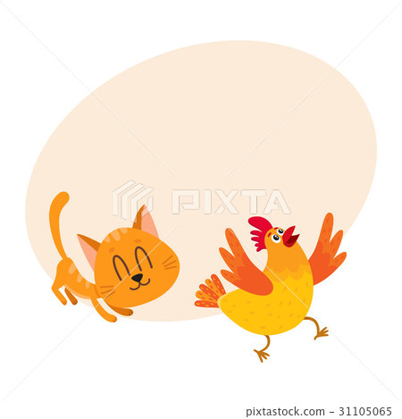 Funny red cat, kitten character chasing, playing Funny red cat, kitten character chasing, playing 31105065