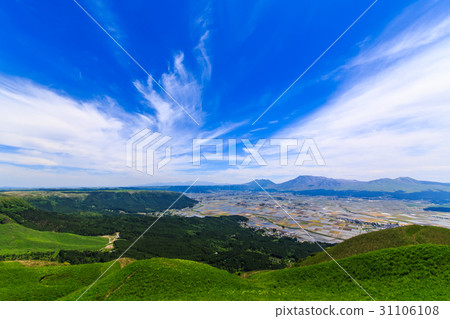 Taiko Aso Skyline 31106108