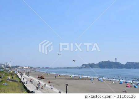 在初夏的湘南海岸公園 照片素材 圖片 圖庫