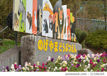 Yokohama · Nogeyama zoo Yokohama · Nogeyama zoo 31106285