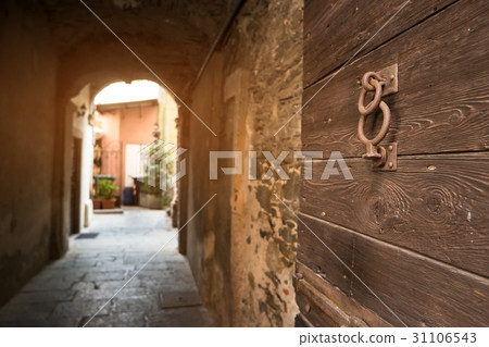 Old wood door. Old wood door. 31106543