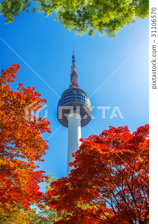 Seoul Tower and red autumn maple 31106570