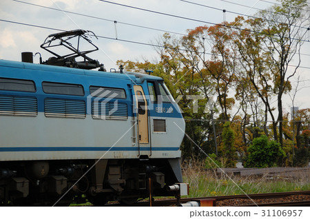 Electric locomotive EF 66 31106957