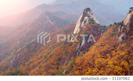 Bukhansan mountains in autumn,Seoul in South Korea 31107062