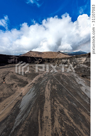 Mount Bromo volcano (Gunung Bromo) 31107083