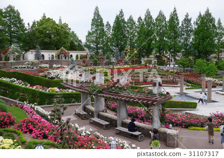 Aramaki玫瑰公園 31107317