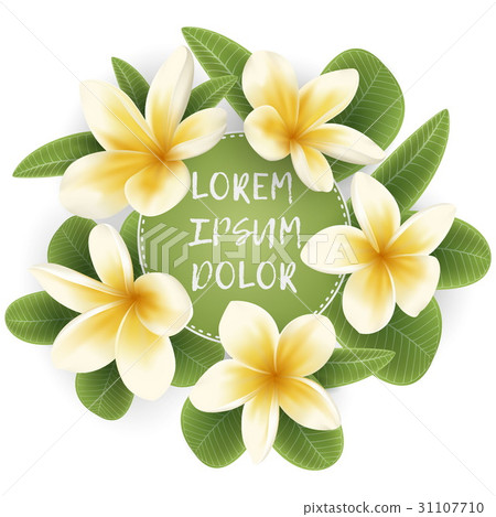 template with Plumeria flower wreath 31107710