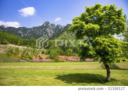 From Ruisan Mountain Natural Park Mt. Ruisan From Ruisan Mountain Natural Park Mt. Ruisan 31108127