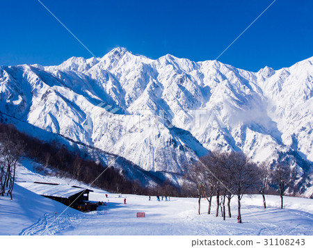 Silver ski resort Hakuba 47 31108243