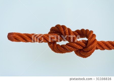 Figure-eight knotted on a white background. Figure-eight knotted on a white background. 31108816