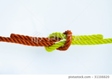 Reef knot on a white background. 31108820